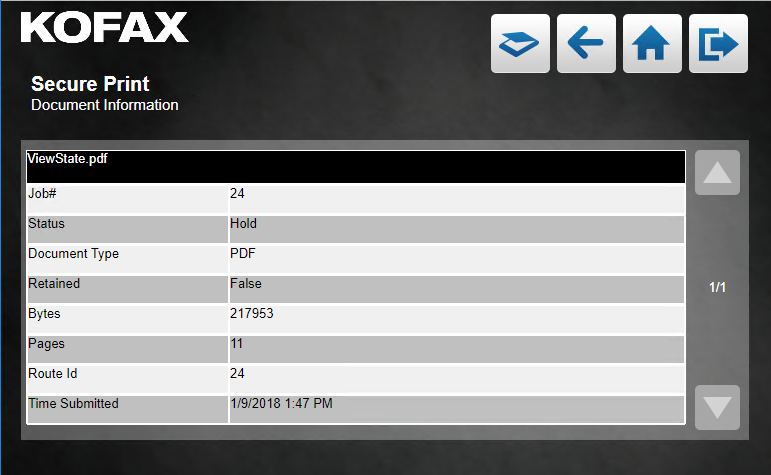 Secure Print Document Information screen