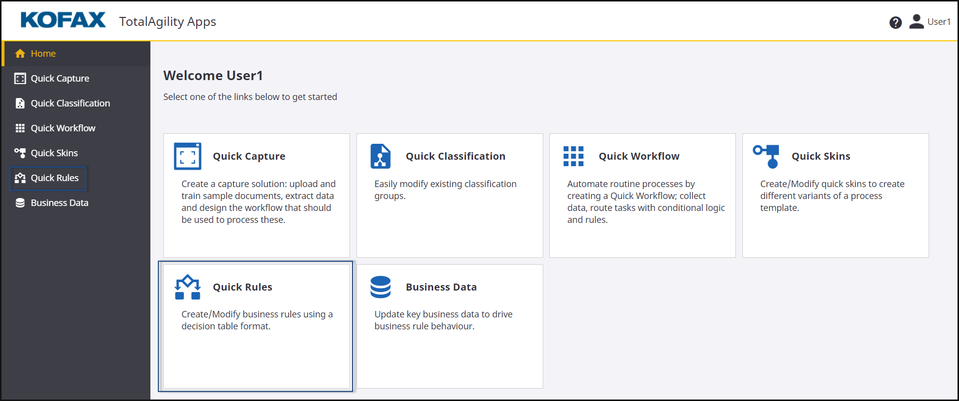TotalAgility Quick Skins TotalAgility Quick Skins