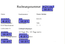 Image of possible Invoice Numbers picked up by the Format Locator