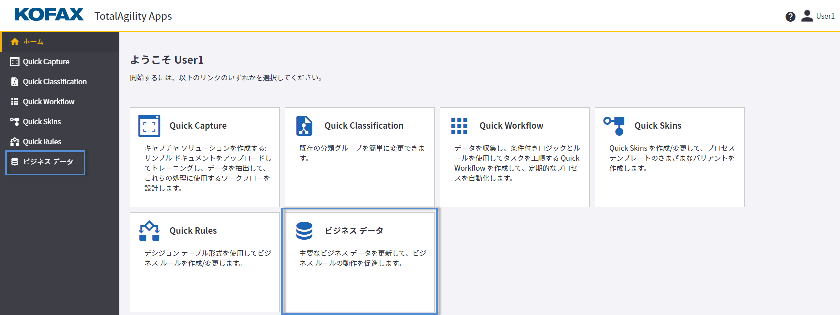 TotalAgility の Quick Skins TotalAgility の Quick Skins