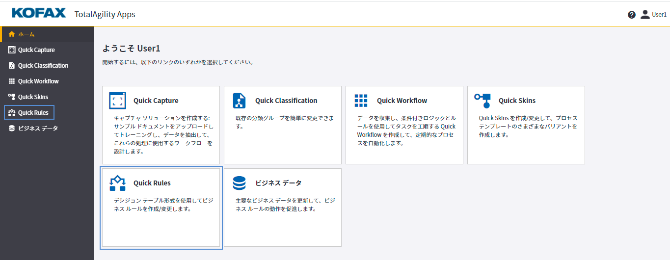 TotalAgility の Quick Skins