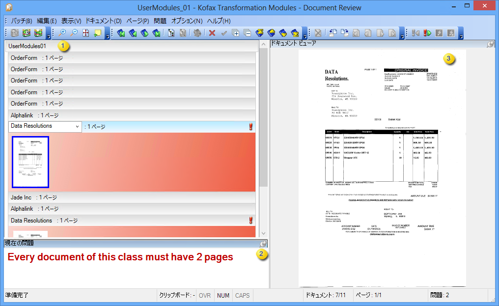 Document Review の初期表示の例を示す画像