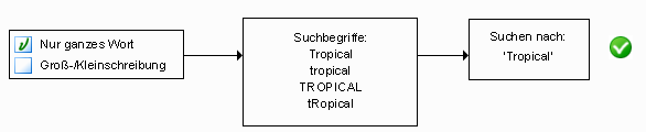 Nur ganzes Wort suchen, ohne Diagramm Groß-/Kleinschreibung beachten