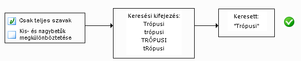 Mindkét opció kiválasztva – ábra