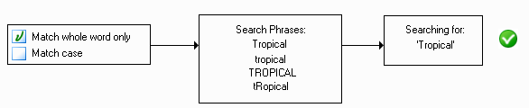 Nur ganzes Wort suchen, ohne Diagramm Groß-/Kleinschreibung beachten