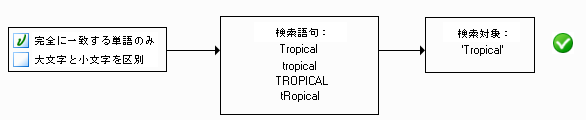 完全に一致する単語のみ、大文字と小文字の区別なしの図