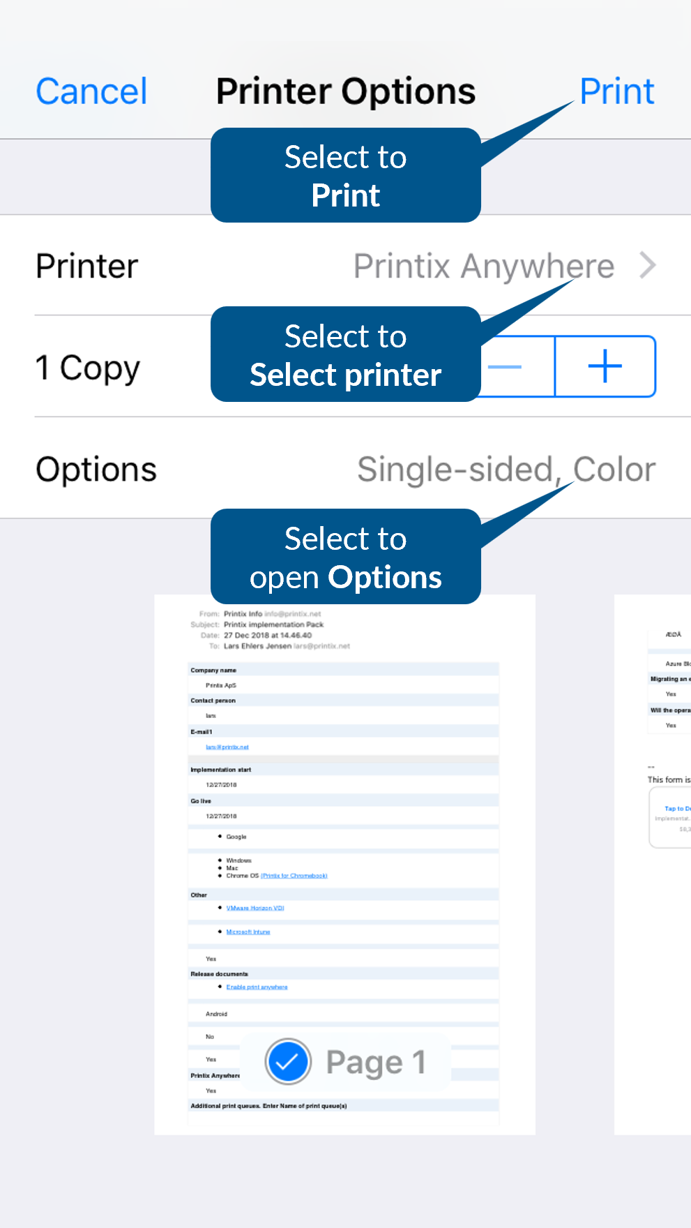 Print interface on iPhone