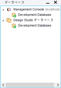Design Studio のデータベース ビュー