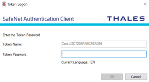 Enter the token password