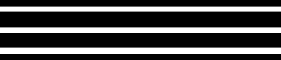 Patch Code Type 4