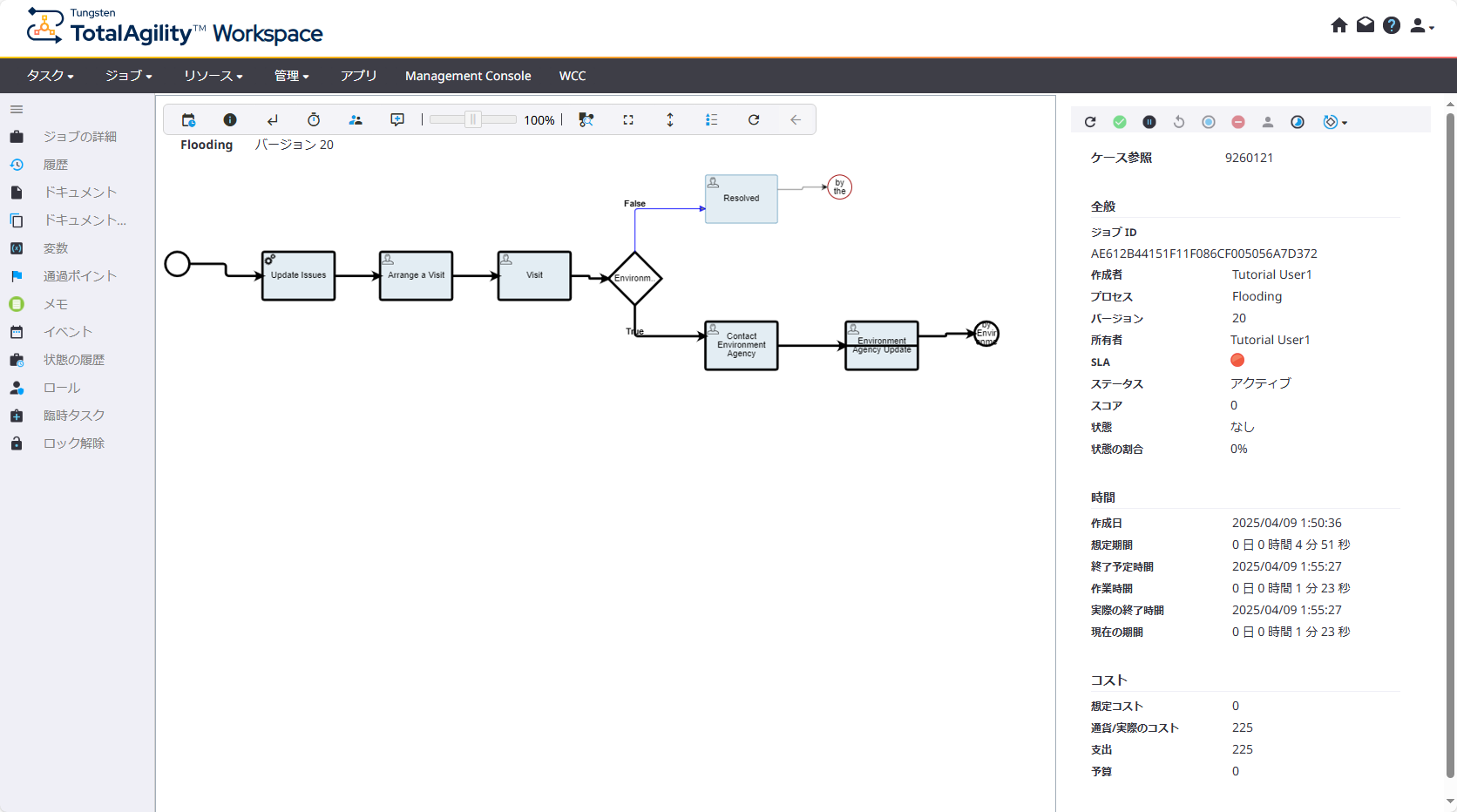 Flooding プロセス の関連ジョブのプロパティ