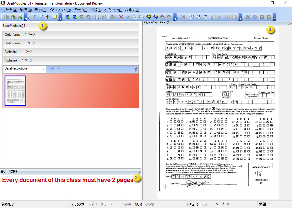 Document Review の初期表示の例を示す画像