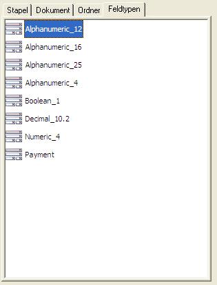 Feldtypen-Strukturansicht