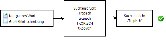 Abbildung mit beiden Optionen aktiviert