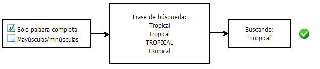 Diagrama con ambas opciones seleccionadas