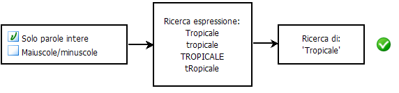 diagramma con entrambe le opzioni selezionate